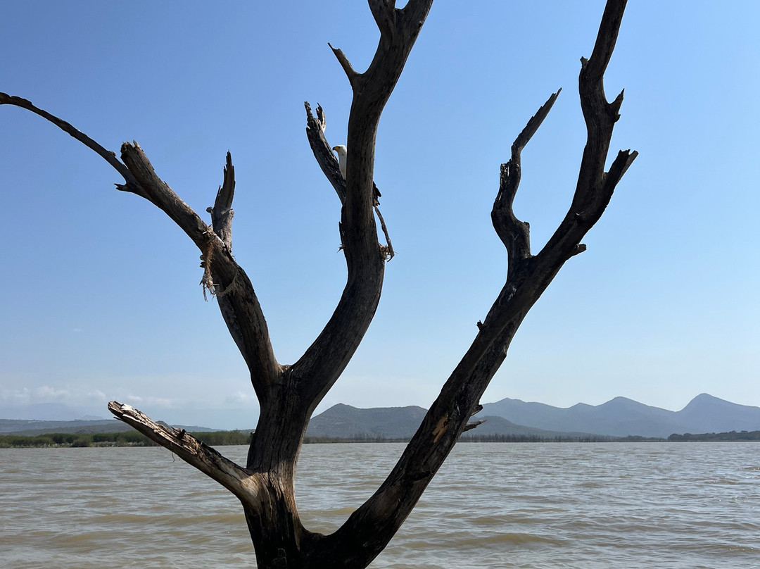 Chamo Lake-Arba Minch必去景点