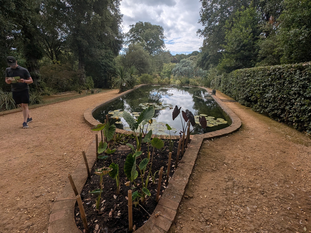 Abbotsbury Subtropical Gardens-Abbotsbury必去景点