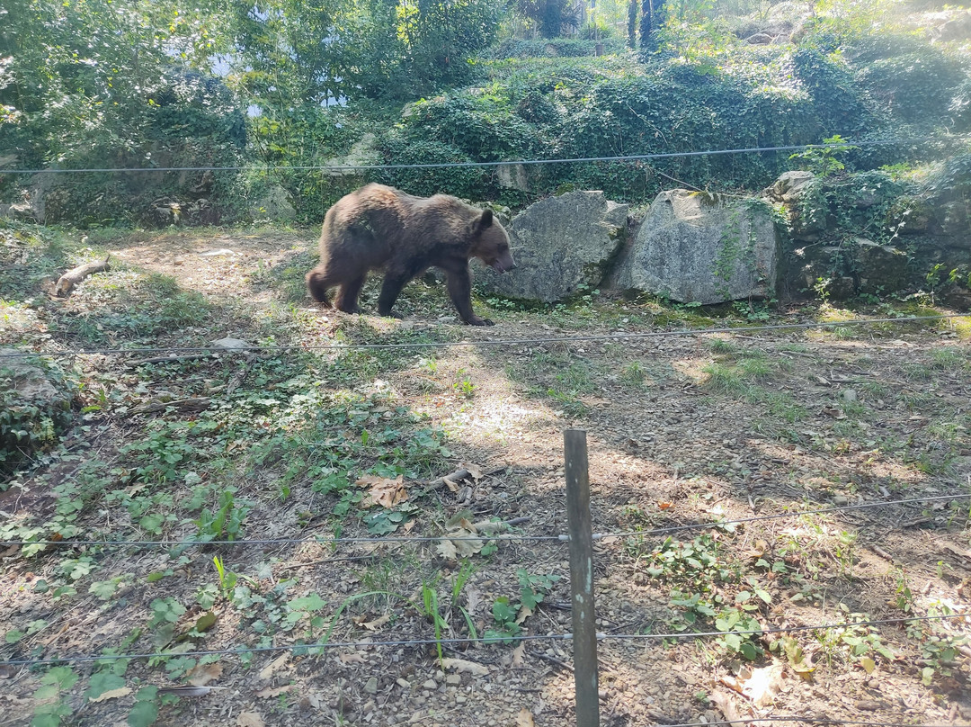 Giardino Zoologico Di Pistoia-皮斯托亚必去景点