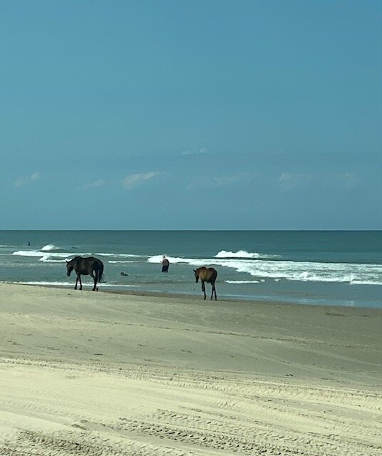 Carova Beach-Carova必去景点