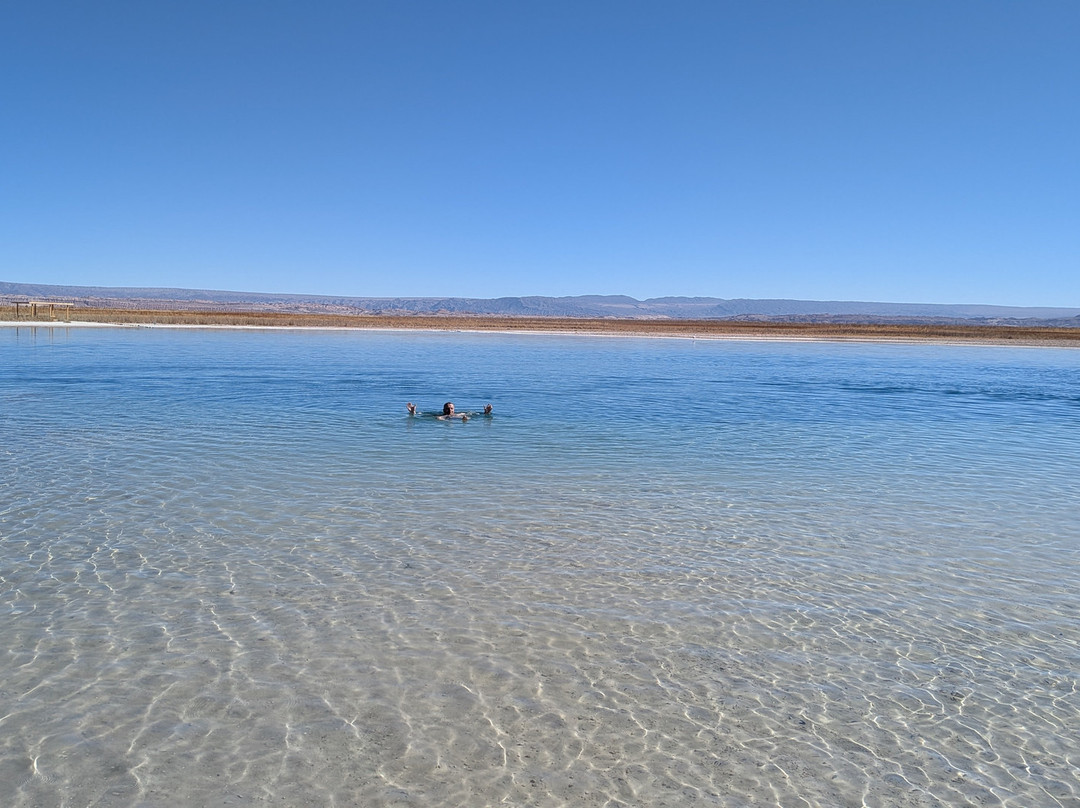 Laguna Cejar-圣佩德罗-德阿塔卡马必去景点