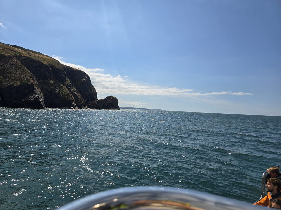 Dolphin Spotting Boat Trips (by New Quay Boat Trips)-纽基必去景点
