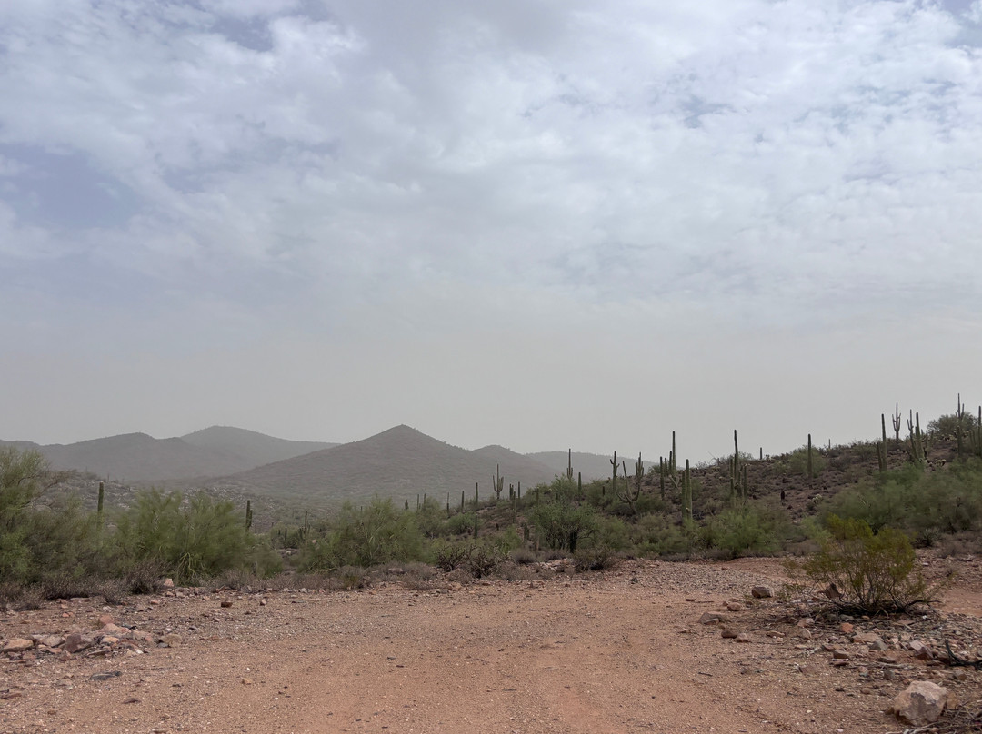 Desert Wolf Tours-凤凰城必去景点
