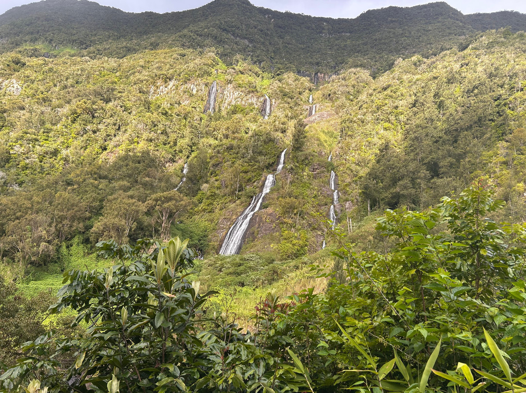 Cascade du Voile de la Mariée-Salazie必去景点