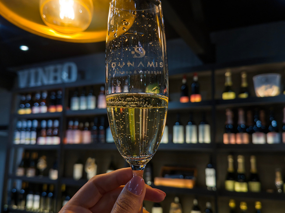 Loja - Dunamis Vinhos & Vinhedos-格拉玛多必去景点
