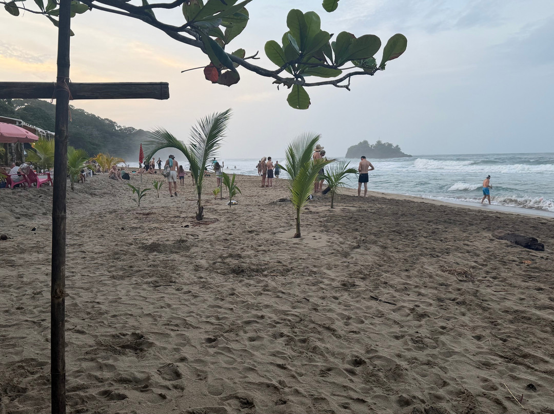 Playa Cocles-Cocles必去景点