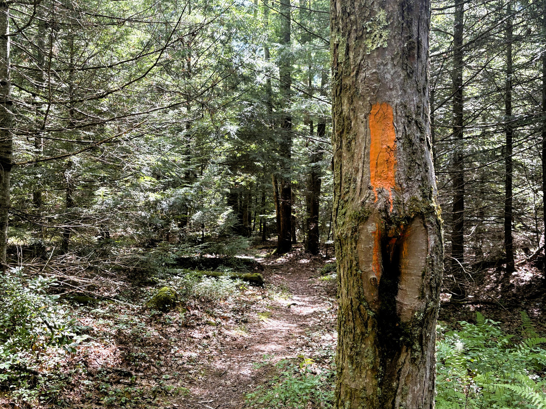 Pine Creek Outfitters, Inc-Wellsboro必去景点