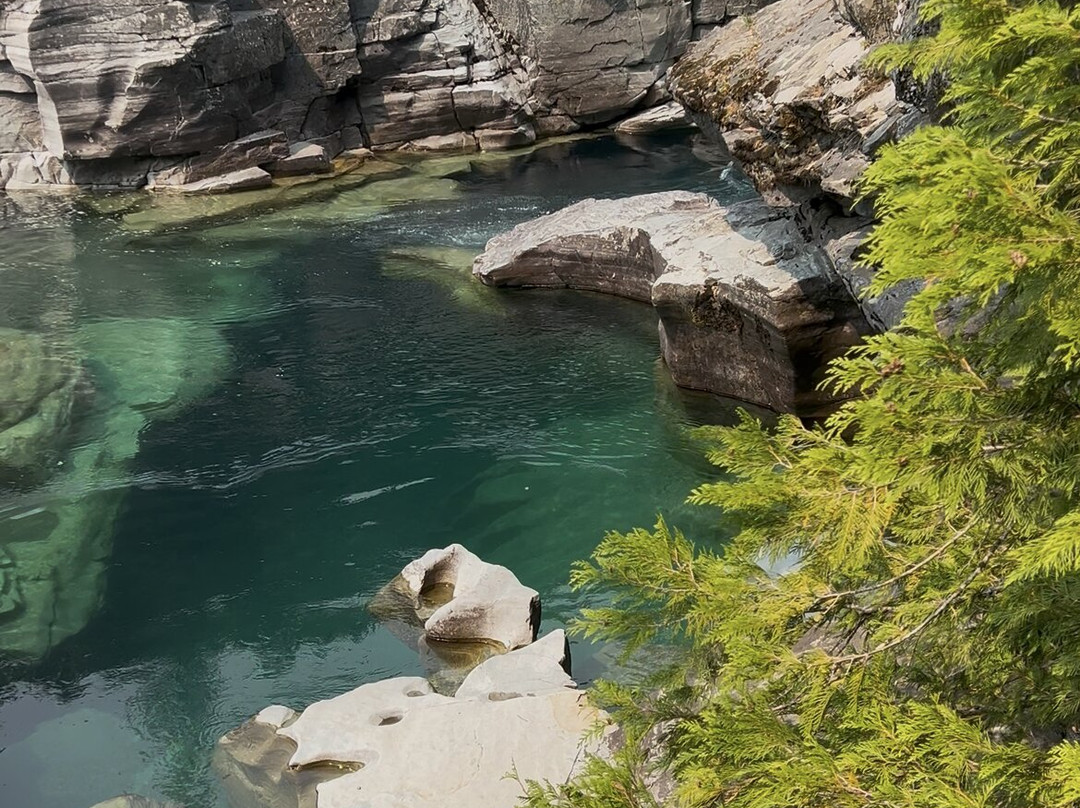 Glacier Jeep Rentals-Columbia Falls必去景点