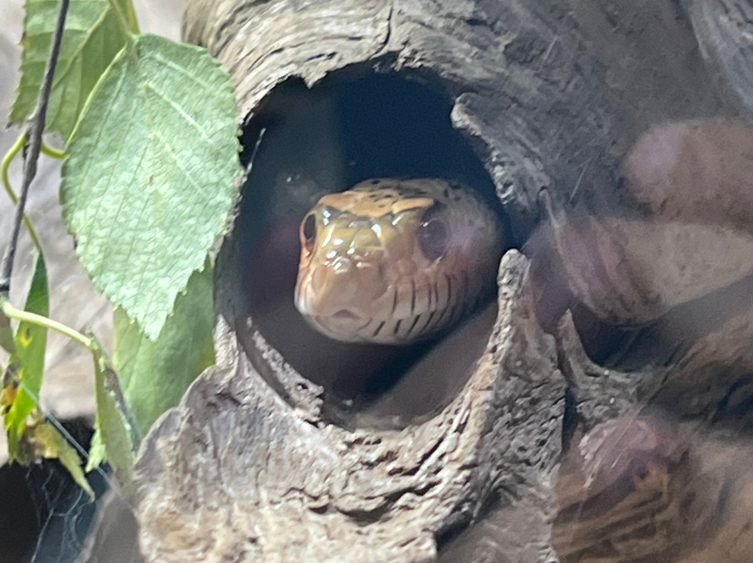 Reptilienzoo Nockalm-Patergassen必去景点