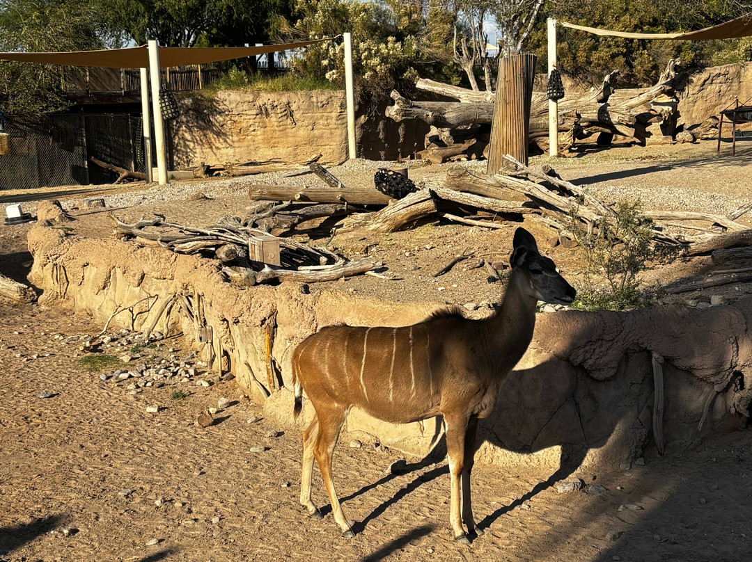 El Paso Zoo-埃尔帕索必去景点