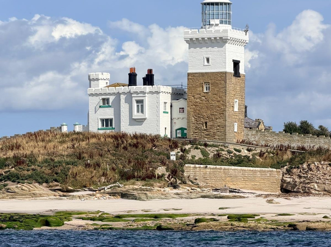 Amble boat trips-Amble必去景点