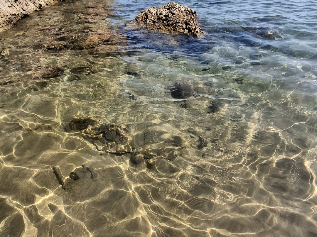 Hotel Sirena - Servizio Spiaggia Inclusive主图