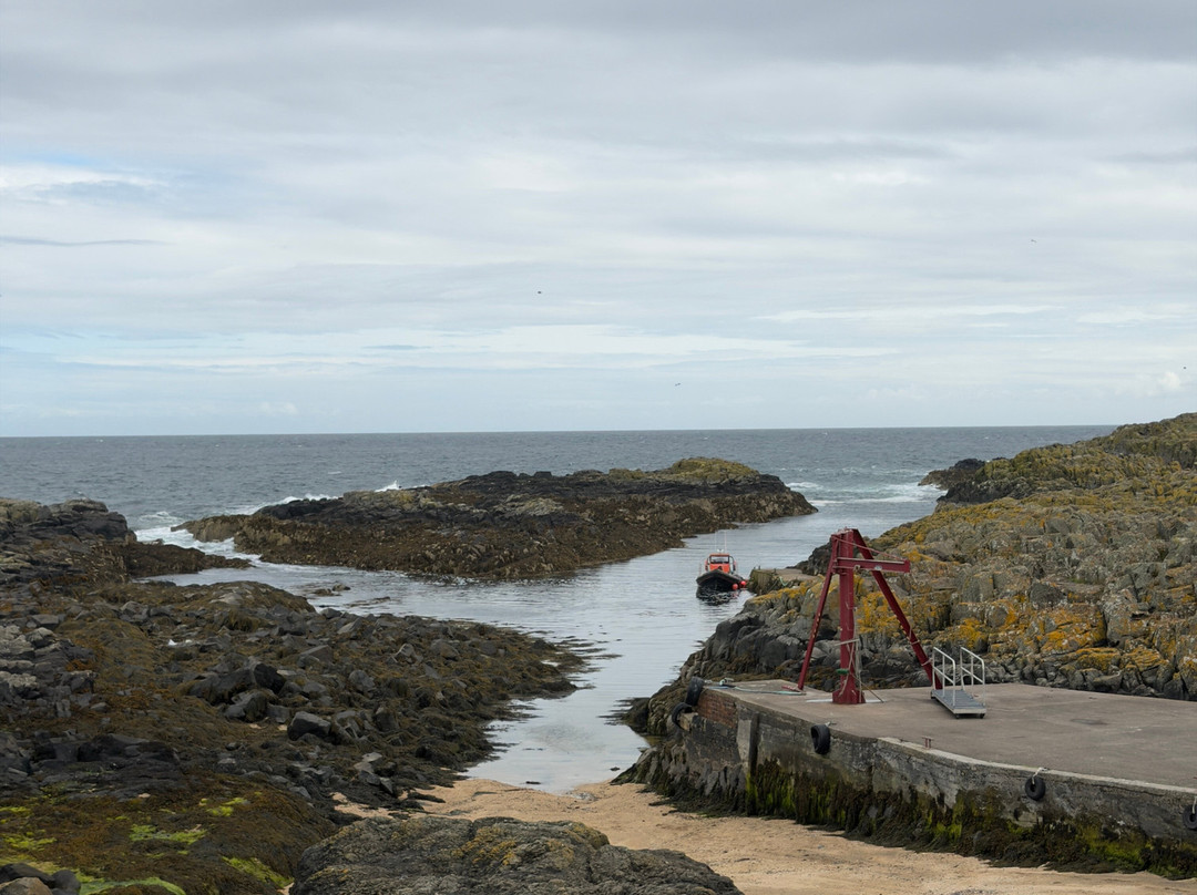 Isle Of May Boat Trips-Anstruther必去景点