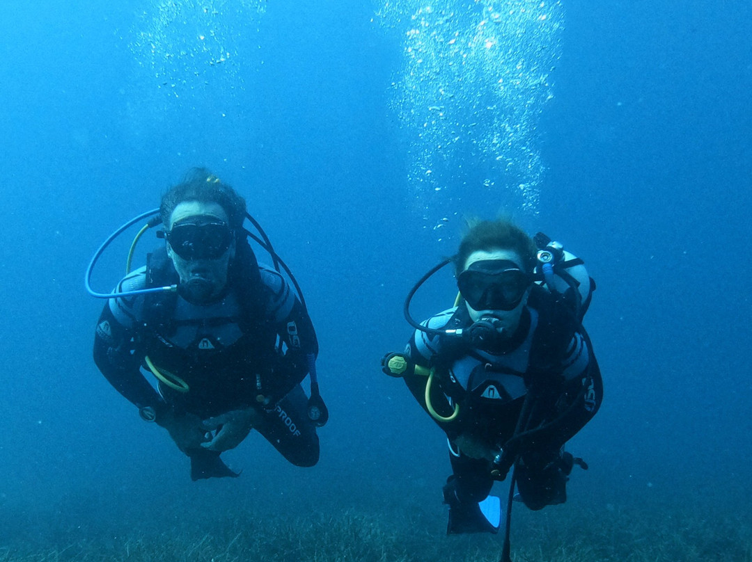 Amphibious Diving Center-Cholargos必去景点