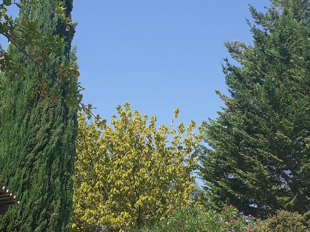 Zazen en Provence主图
