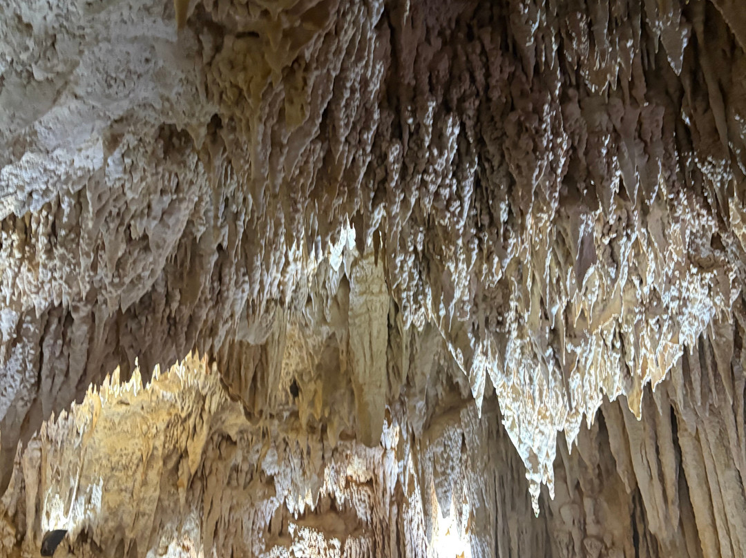 Cayman Crystal Caves-大开曼岛必去景点