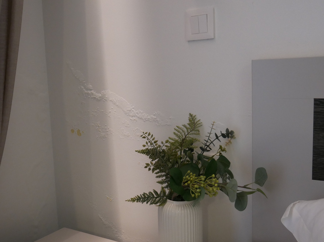 欧罗莫尼斯酒店主图