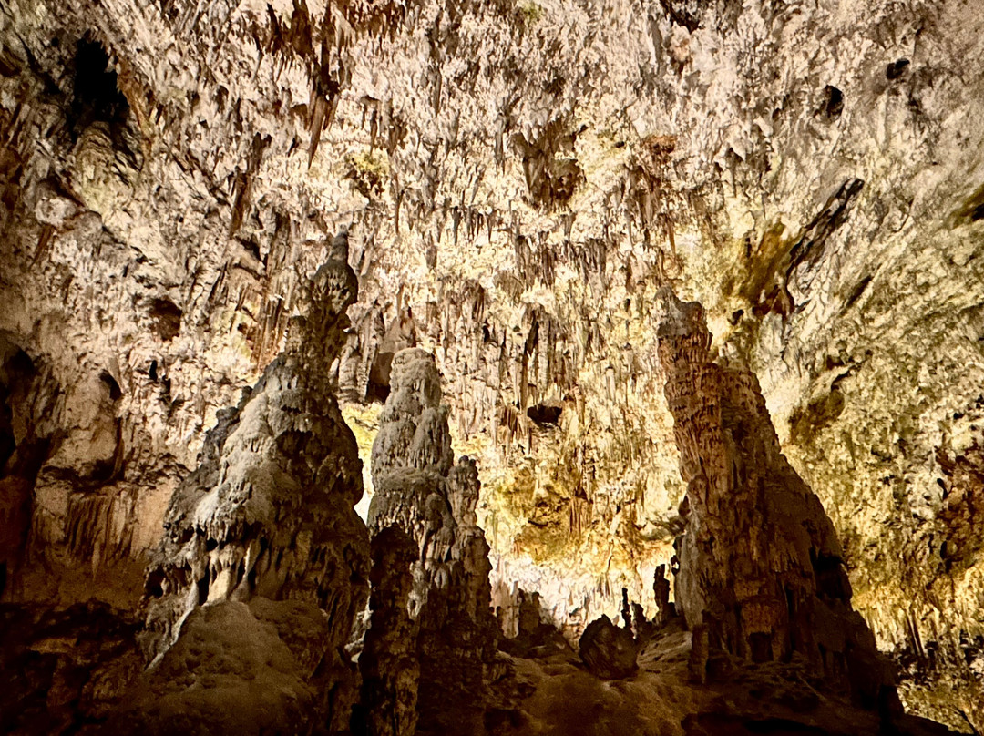 Postojna Cave-波斯托伊纳必去景点