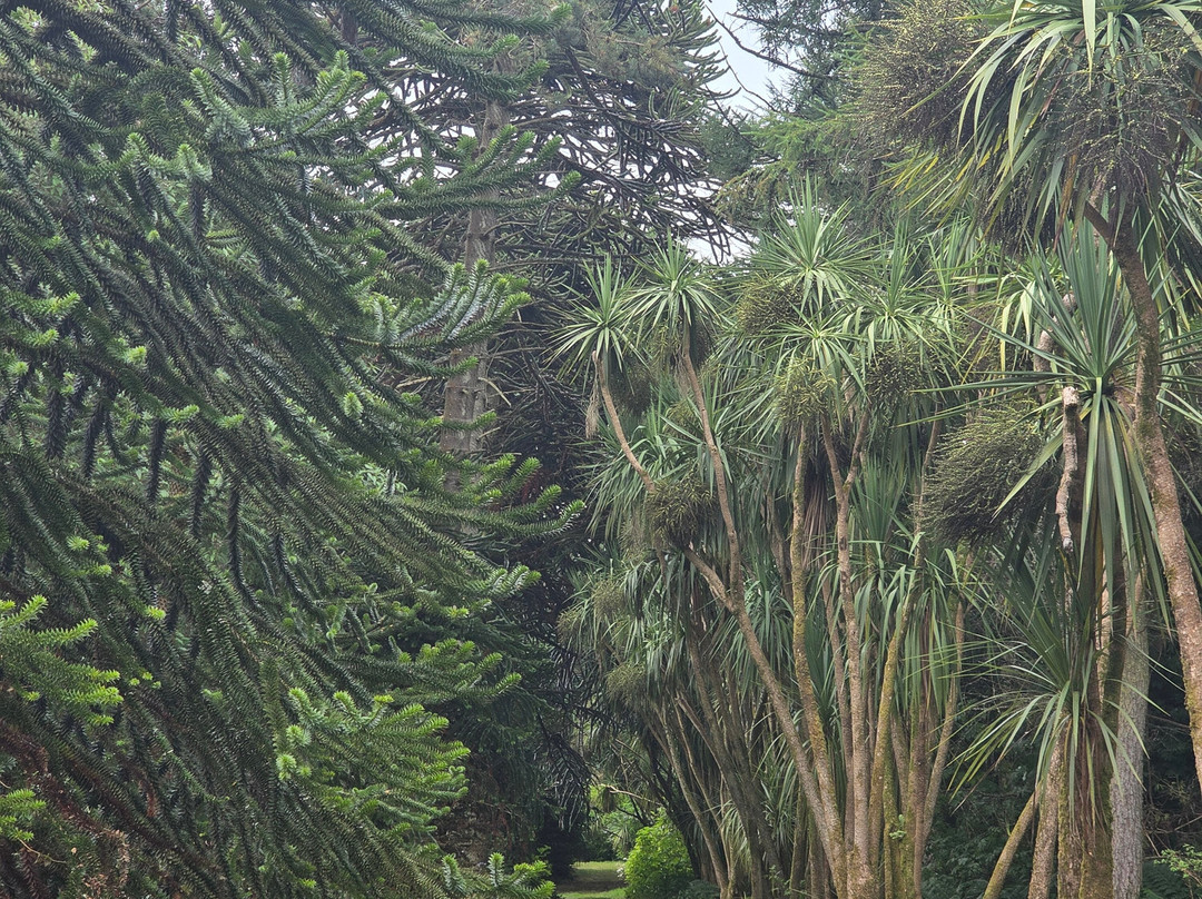 Logan House Gardens-Port Logan必去景点