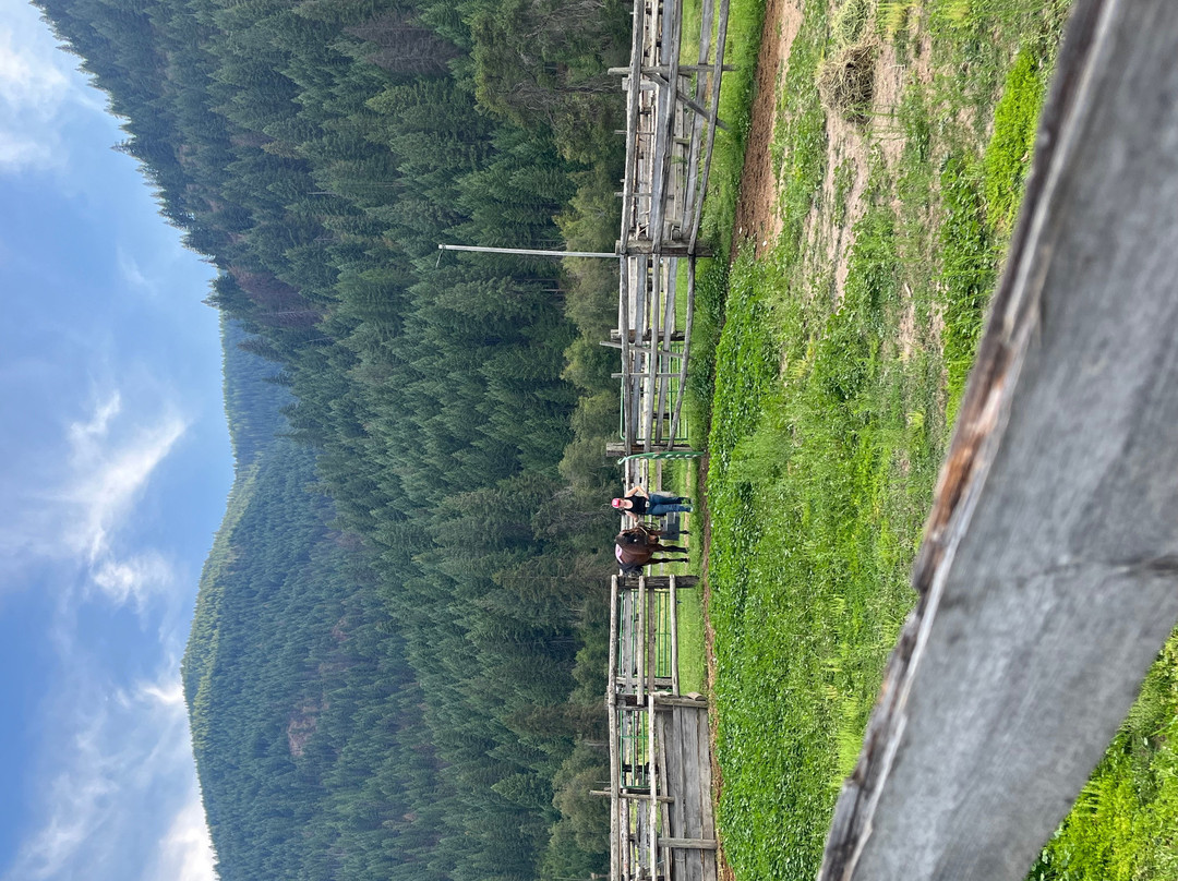 Rugg's Outfitting-Superior必去景点