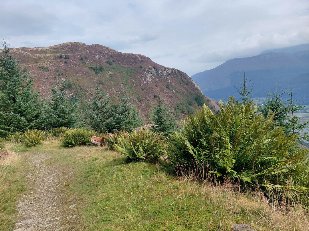 Whinlatter Forest-Braithwaite必去景点