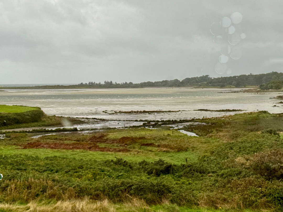 Sea Breeze Lodge B&B Galway主图