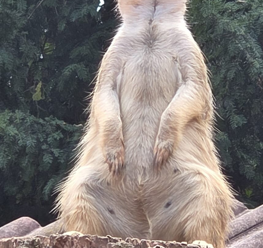ZOO Bratislava-布拉迪斯拉发必去景点