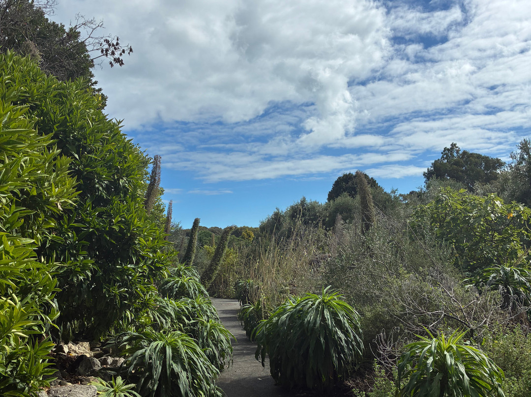 Ventnor Botanic Garden-文特诺必去景点