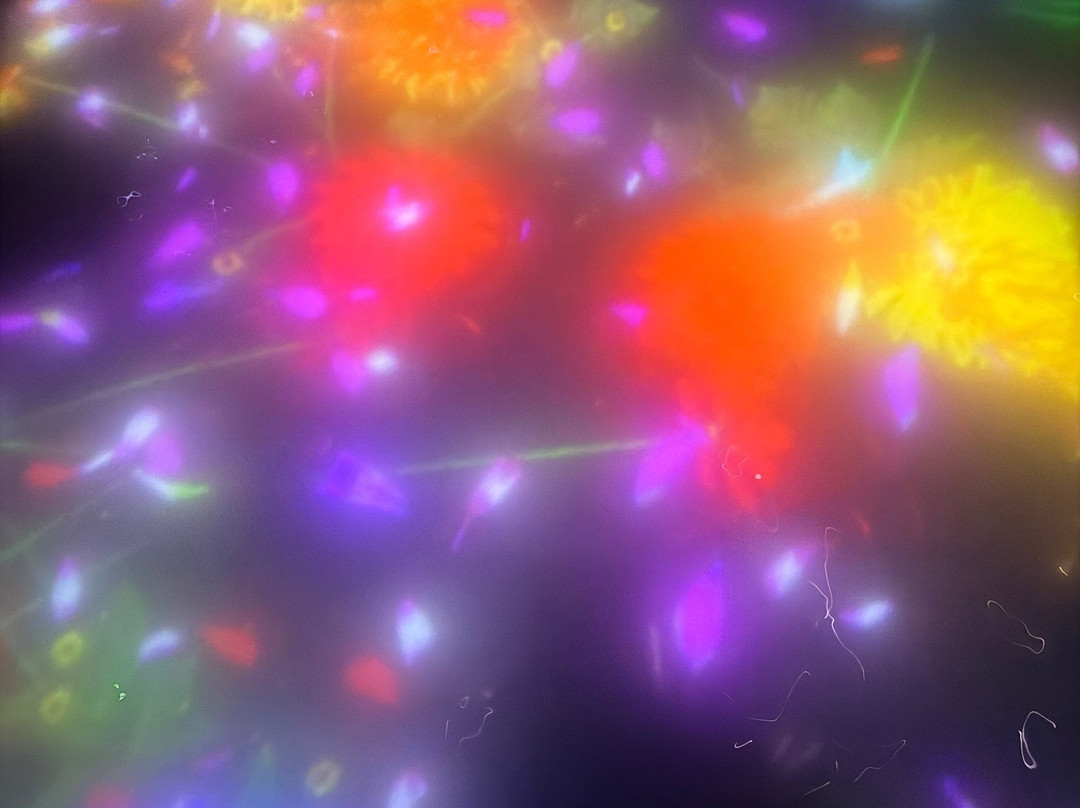teamLab Planets TOKYO-Toyosu必去景点