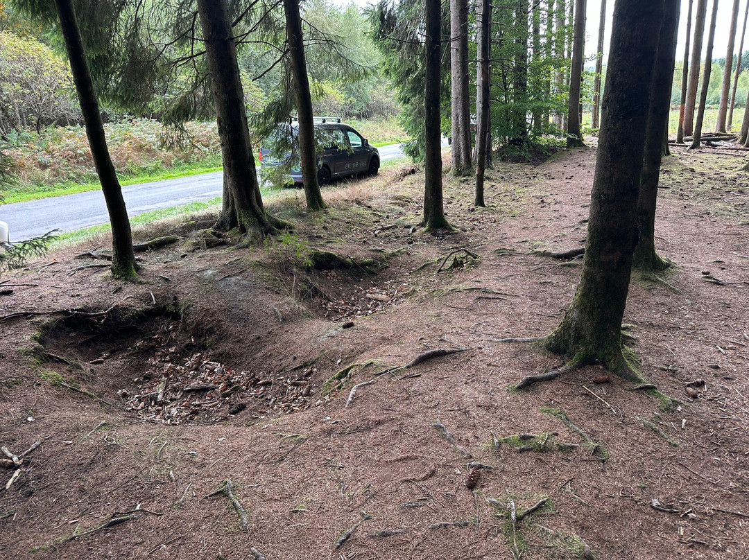Battle of the Bulge Guided Tours-巴斯东必去景点