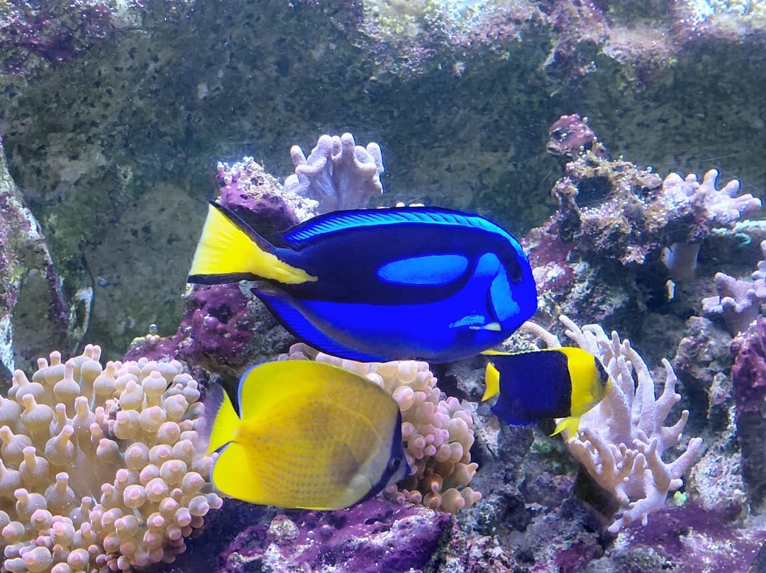Aquarium De Touraine-Lussault-sur-Loire必去景点