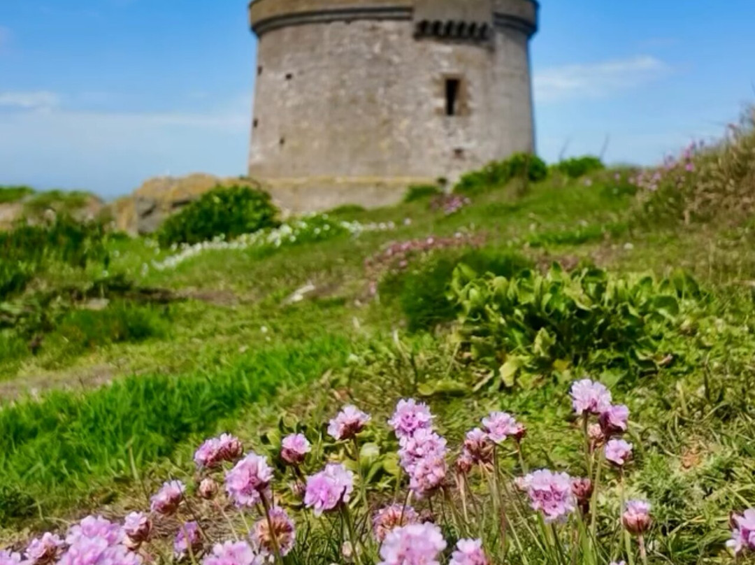 Howth Cliff Cruises-霍斯必去景点