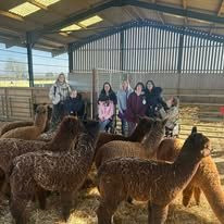 The Alpaca Centre at JandJ Alpacas-特伦特河畔纽瓦克必去景点