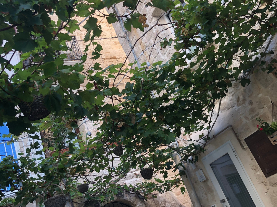 Centro Storico di Polignano a Mare-波利尼亚诺阿马雷必去景点