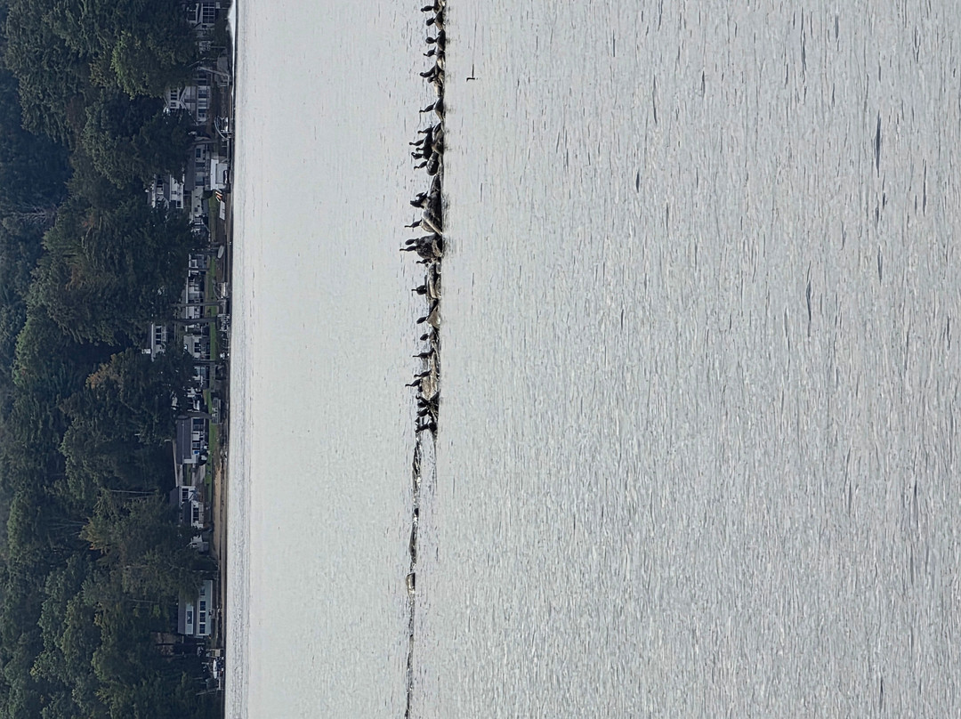 Mount Washington Cruises-Weirs Beach必去景点