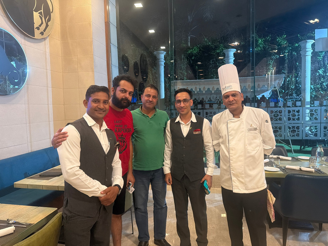古尔冈市中心索赫纳路丽笙酒店主图
