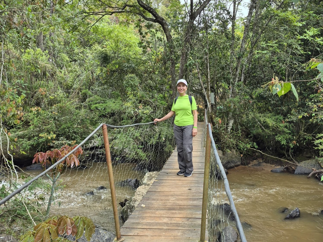 Parque Natural Terra das Cachoeiras-Bueno Brandao必去景点