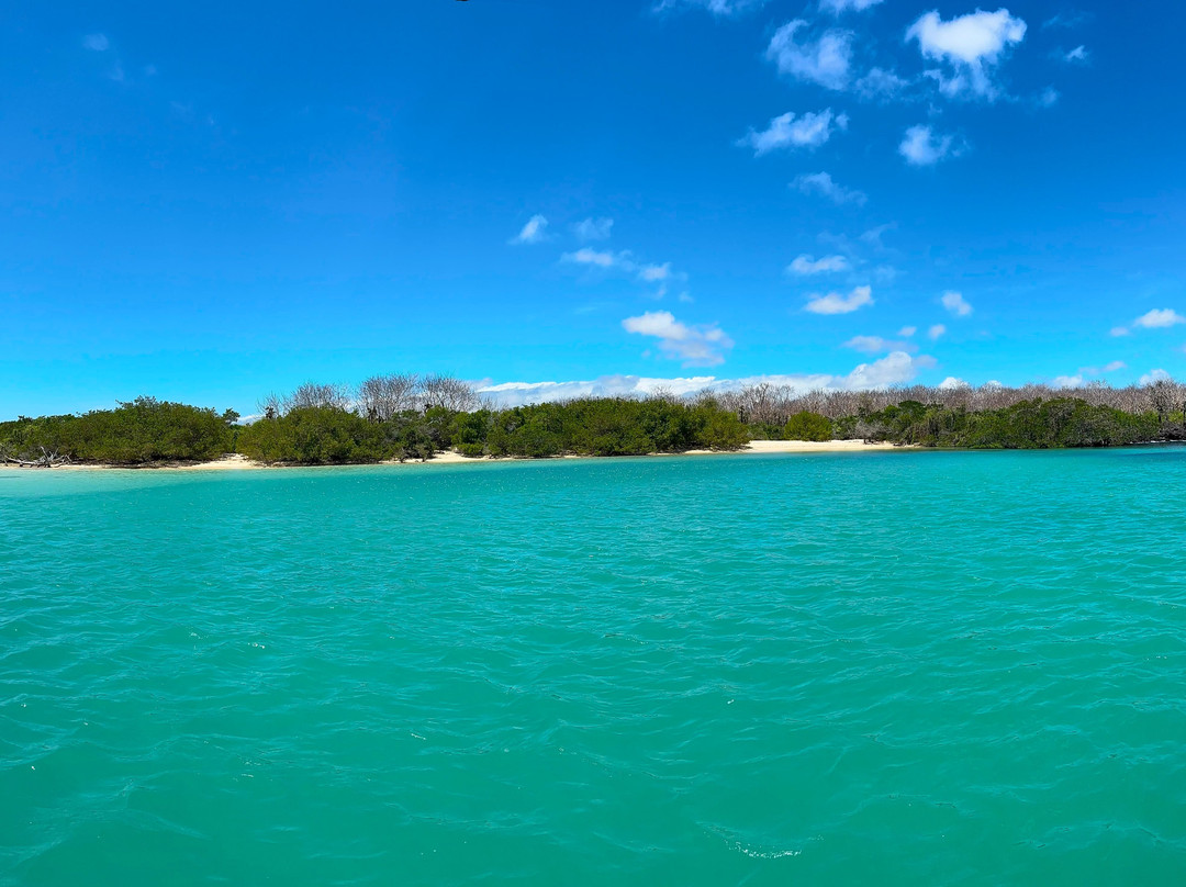 Go Galápagos Tours-Baltra必去景点