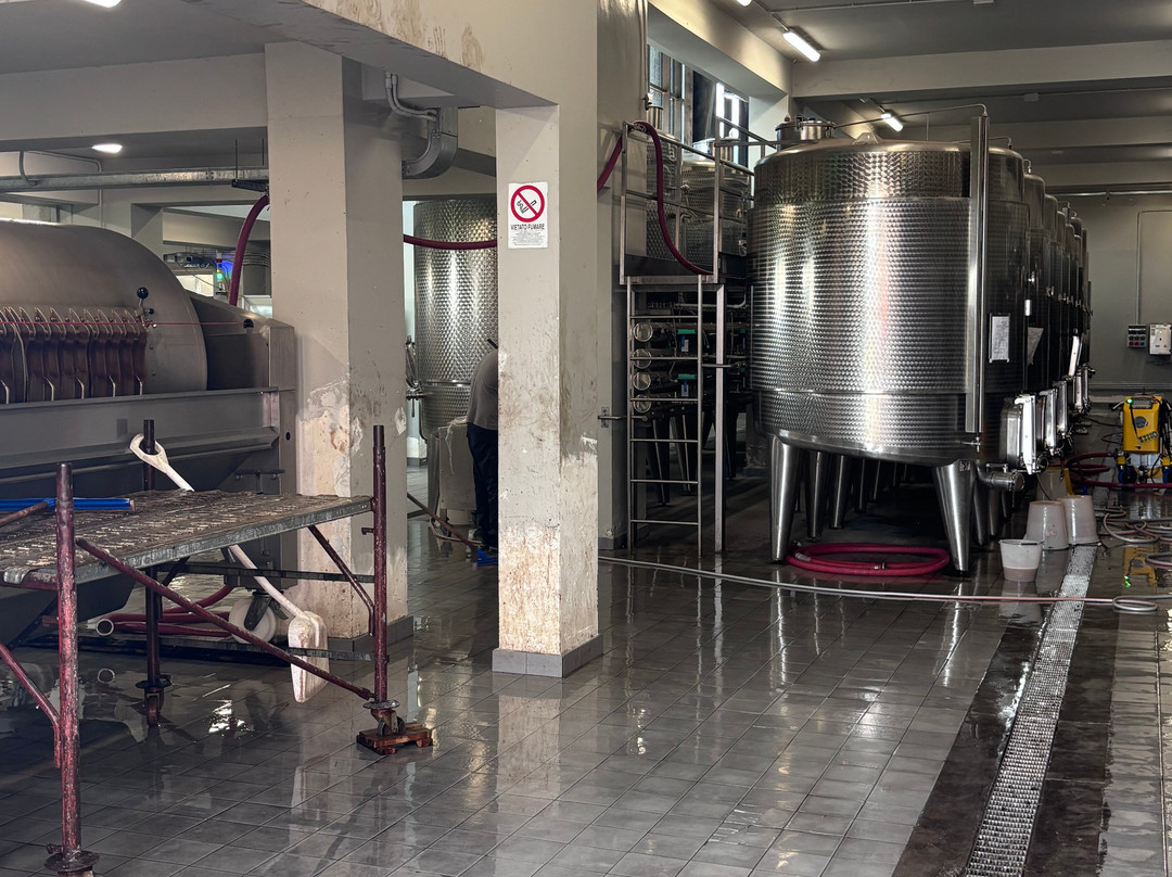 Wine tasting at I Custodi delle Vigne dell'Etna-Solicchiata必去景点