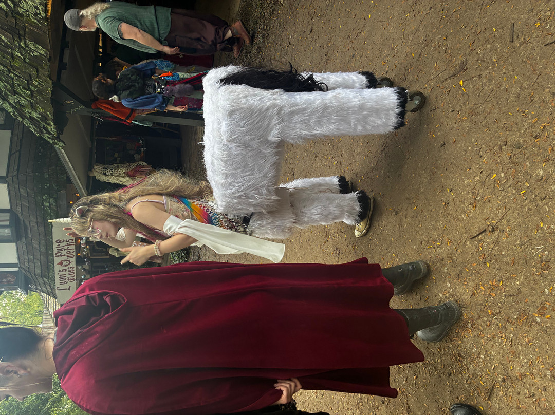 Ohio Renaissance Festival-Harveysburg必去景点