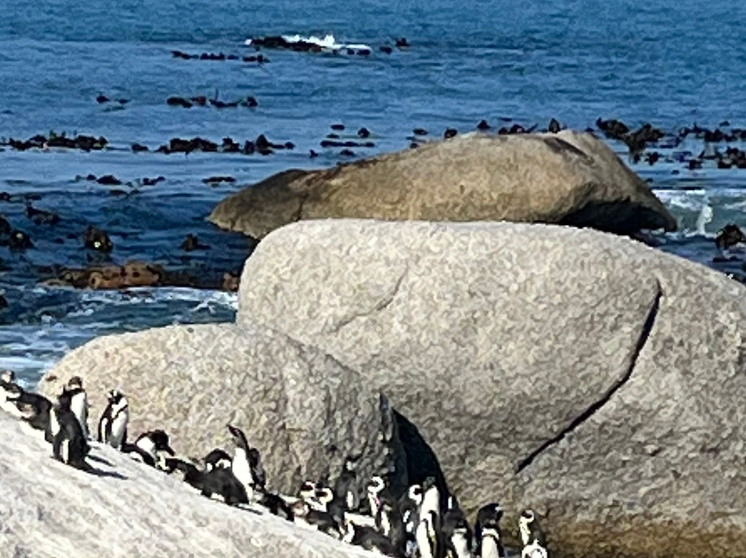 Loisico Tours and Excursions-Bloubergstrand必去景点