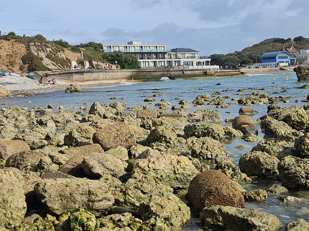 Albion Hotel - Freshwater Bay主图