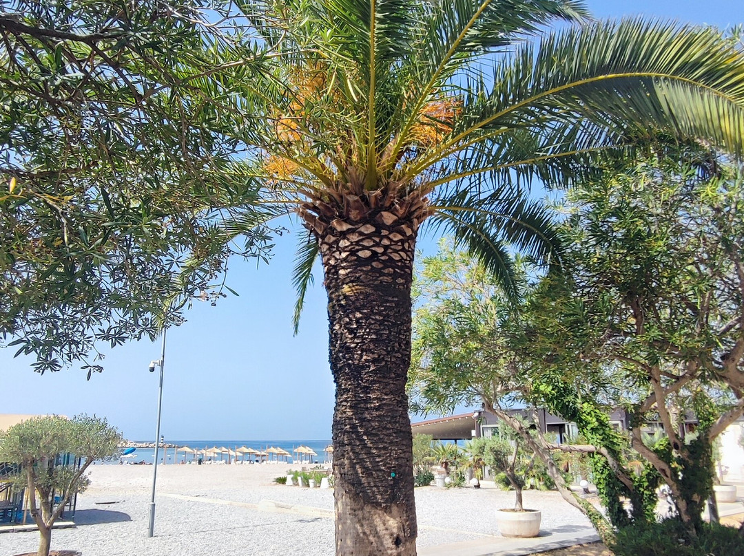 Bar Beach-Bar必去景点
