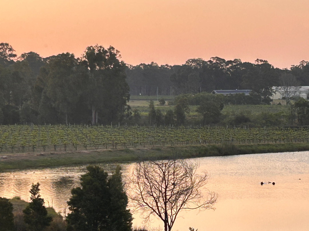 Leogate Estate Wines-波高尔宾必去景点