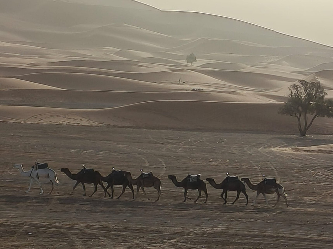Morocco Colourful Tours-卡萨布兰卡必去景点