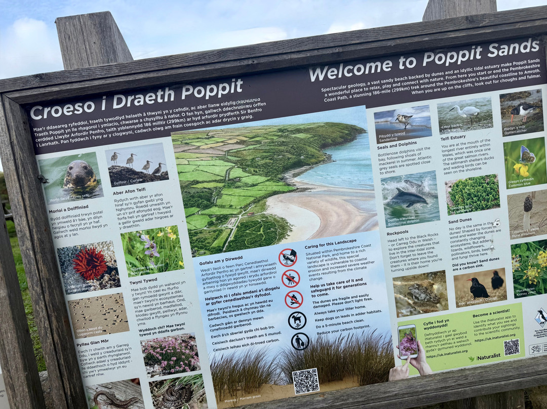 Poppit Sands Beach-Cardigan必去景点
