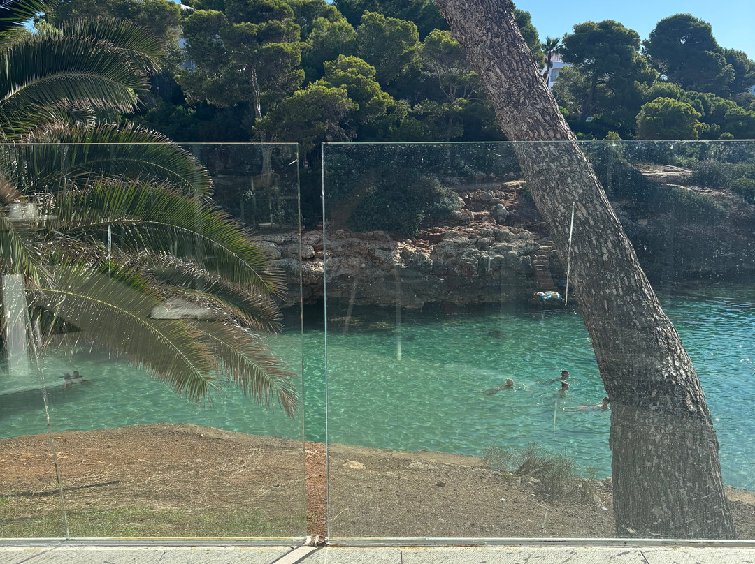 AluaSoul Mallorca Resort - Adults Only主图