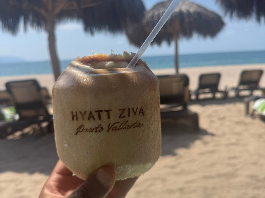 巴亚以塔港Hyatt乐家酒店 - 全包主图