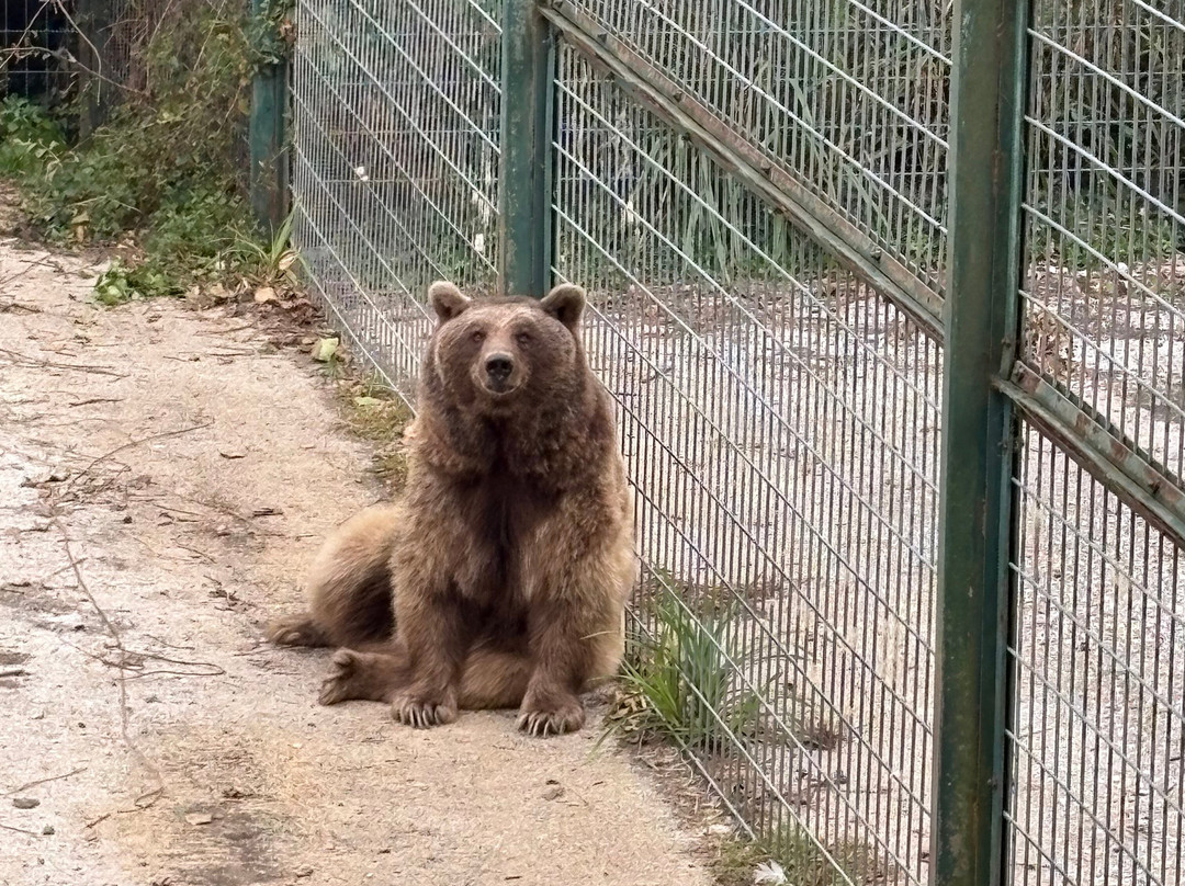Zoo De Santillana Del Mar-海边的散提亚拿必去景点