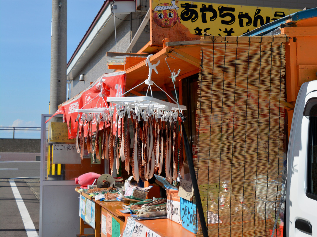 Omazaki  Cape-大间町 必去景点